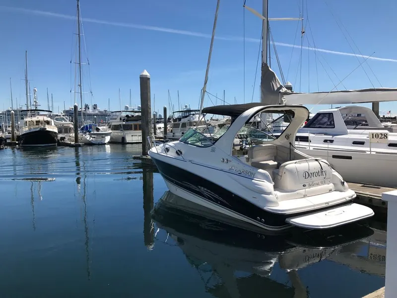 The Image of Larson Cabrio 290 2008 - 0