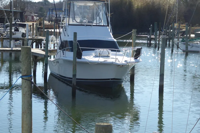 The Image of 1996 Luhrs 320 Tournament boat docked in a marina, surrounded by calm water. - 0