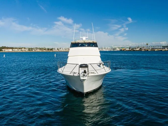 Slide: The Image of 1999 Viking Enclosed Bridge - Image 4 - 4