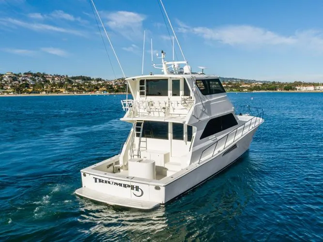 Slide: The Image of 1999 Viking Enclosed Bridge - Image 41 - 41