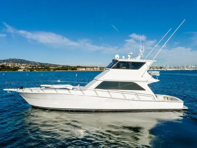 Slide: The Image of 1999 Viking Enclosed Bridge - Image 5 - 5