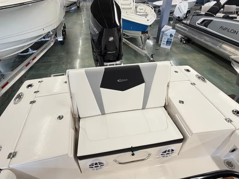 Slide: The Image of Robalo 246 Cayman 2026 - 10