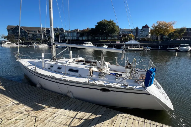 The Image of 1987 Hunter Legend 37 sailboat docked in a marina, surrounded by waterfront buildings. - 0