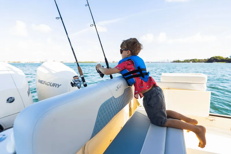 Slide: The Image of Scout 260 LXF 2025 - 29