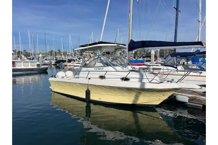The Image of 1998 Pro-Line 2610 Walkaround boat docked in a marina, surrounded by other vessels. - 1