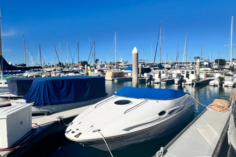 The Image of 2006 Regal Marine 2650 Cuddy boat docked in a marina under clear blue skies. - 0