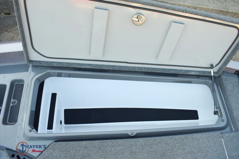 Slide: The Image of Ikon VLX 20 2025 - 23