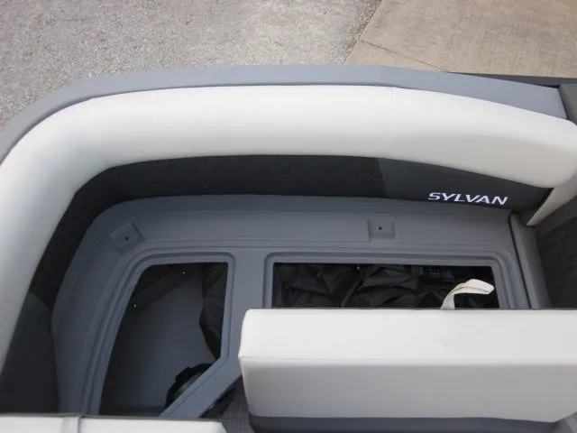 Slide: The Image of Sylvan R-22 LZ DH 2026 - 12