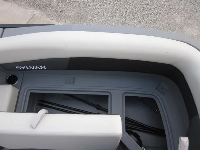 Slide: The Image of Sylvan R-22 LZ DH 2026 - 13