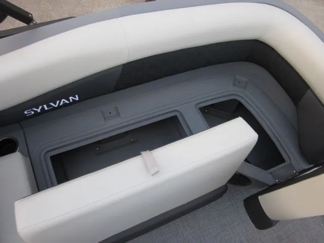 Slide: The Image of Sylvan R-22 LZ DH 2026 - 21