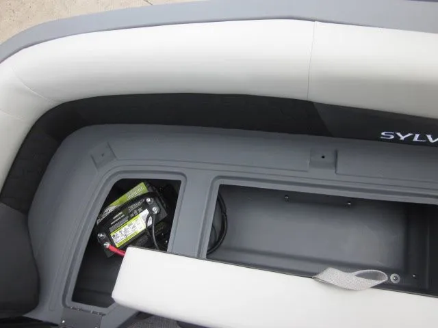 Slide: The Image of Sylvan R-22 LZ DH 2026 - 17