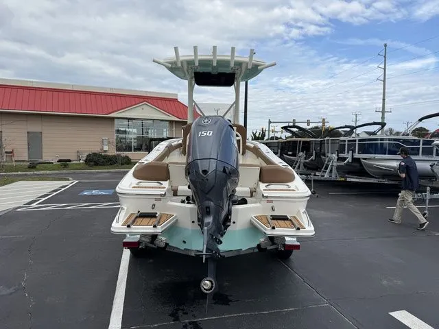 Slide: The Image of Pioneer 202 Islander 2026 - 3