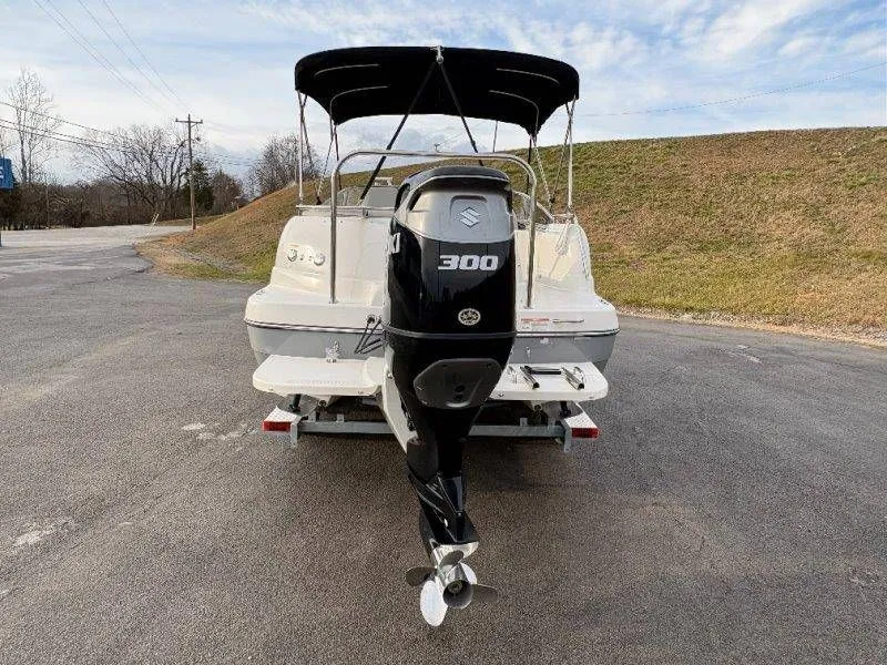 Slide: The Image of Splendor Sunstar 259 2020 - 12