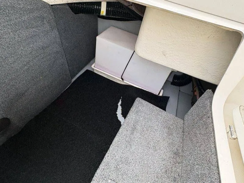 Slide: The Image of Splendor Sunstar 259 2020 - 20