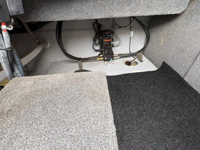 Slide: The Image of Splendor Sunstar 259 2020 - 23