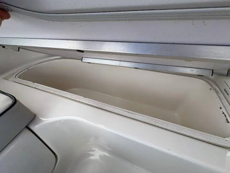 Slide: The Image of Splendor Sunstar 259 2020 - 33