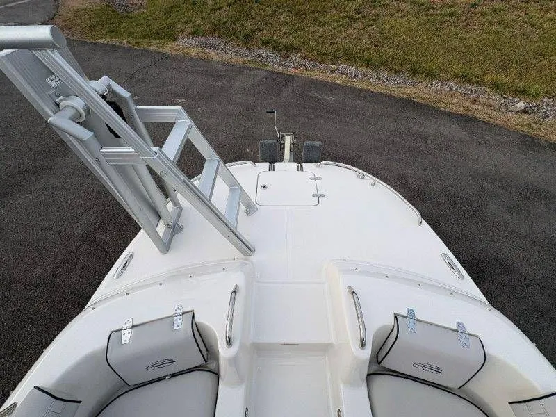 Slide: The Image of Splendor Sunstar 259 2020 - 42