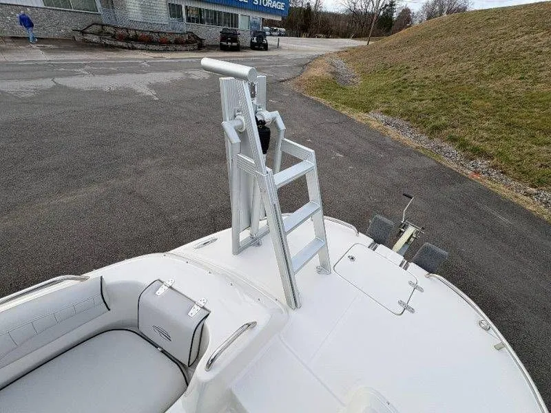 Slide: The Image of Splendor Sunstar 259 2020 - 43