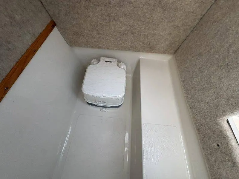 Slide: The Image of Splendor Sunstar 259 2020 - 46