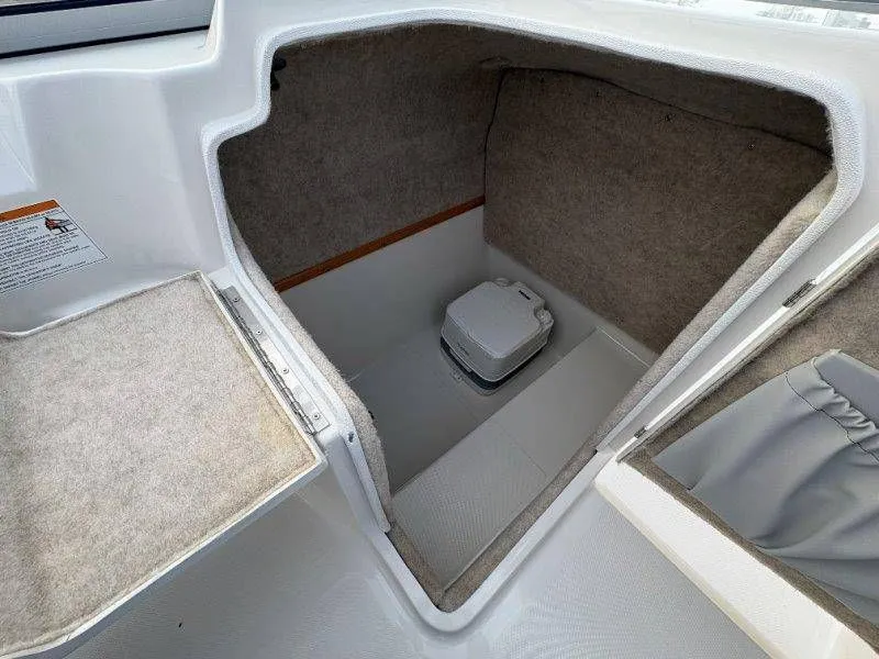 Slide: The Image of Splendor Sunstar 259 2020 - 49