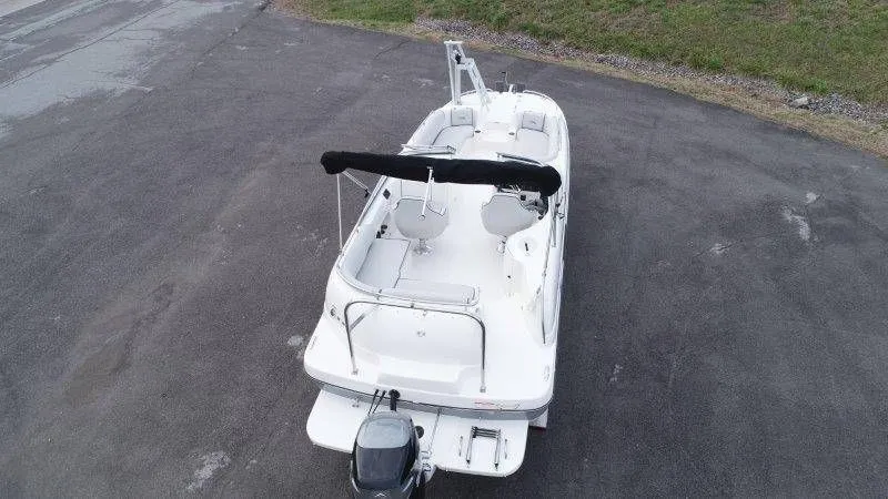 Slide: The Image of Splendor Sunstar 259 2020 - 5