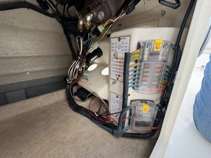 Slide: The Image of Splendor Sunstar 259 2020 - 50