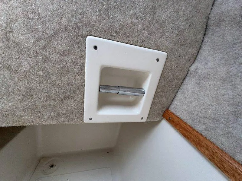 Slide: The Image of Splendor Sunstar 259 2020 - 51