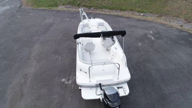 Slide: The Image of Splendor Sunstar 259 2020 - 6