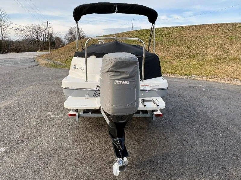 Slide: The Image of Splendor Sunstar 259 2020 - 62