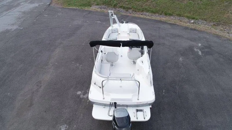 Slide: The Image of Splendor Sunstar 259 2020 - 7