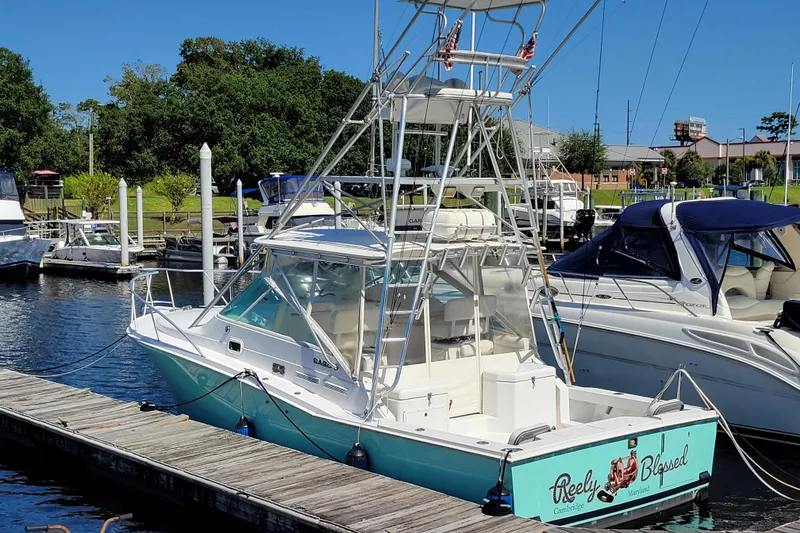 Slide: The Image of 1998 Cabo 31 Express with Tower docked at marina, surrounded by other boats. - 42