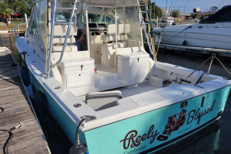Slide: The Image of 1998 Cabo 31 Express with Tower docked, featuring spacious seating and fishing equipment. - 45