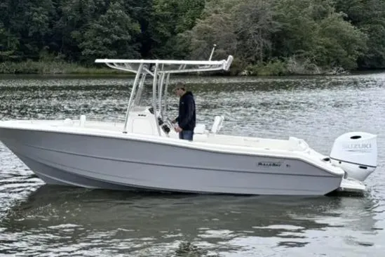 The Image of 2026 Bulls Bay 230 CC boat on a calm river with lush greenery. - 0