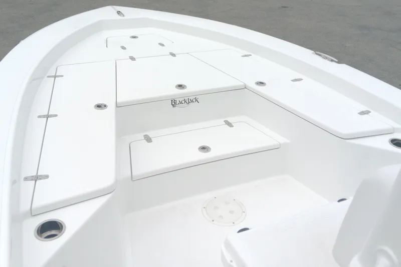 Slide: The Image of 2026 BlackJack 256 Bay boat interior with storage compartments and sleek design. - 8