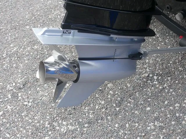 Slide: The Image of Tracker Targa™ V-19 WT 2022 - 10