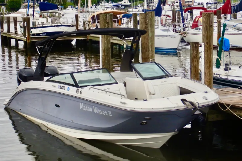 Slide: The Image of 2018 Sea Ray 290 Sundeck Outboard docked in a marina. - 3