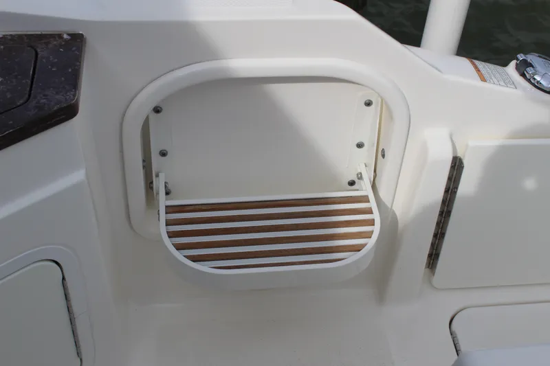 Slide: The Image of Entry step on a 2018 Sea Ray SDX 290 Outboard boat. - 22