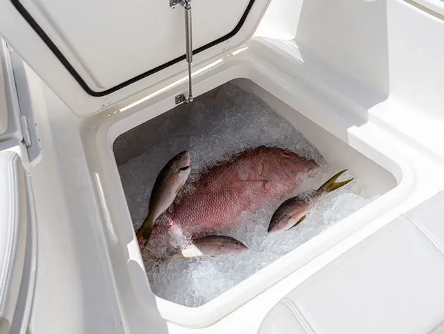 Slide: The Image of Boston Whaler 280 Dauntless 2026 - 11