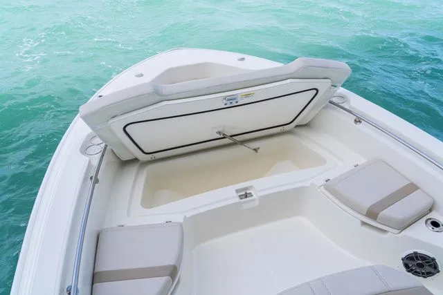 Slide: The Image of Boston Whaler 250 Dauntless 2026 - 6