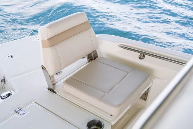 Slide: The Image of Boston Whaler 250 Dauntless 2026 - 8