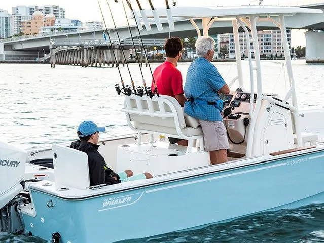 Slide: The Image of Boston Whaler 210 Montauk 2026 - 6