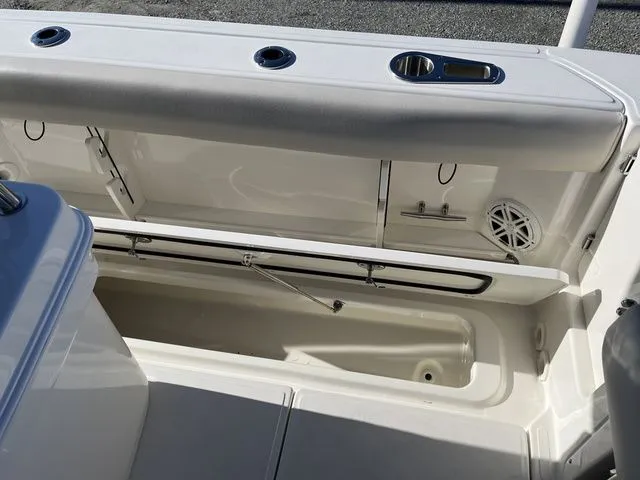 Slide: The Image of Boston Whaler 250 Outrage 2025 - 13