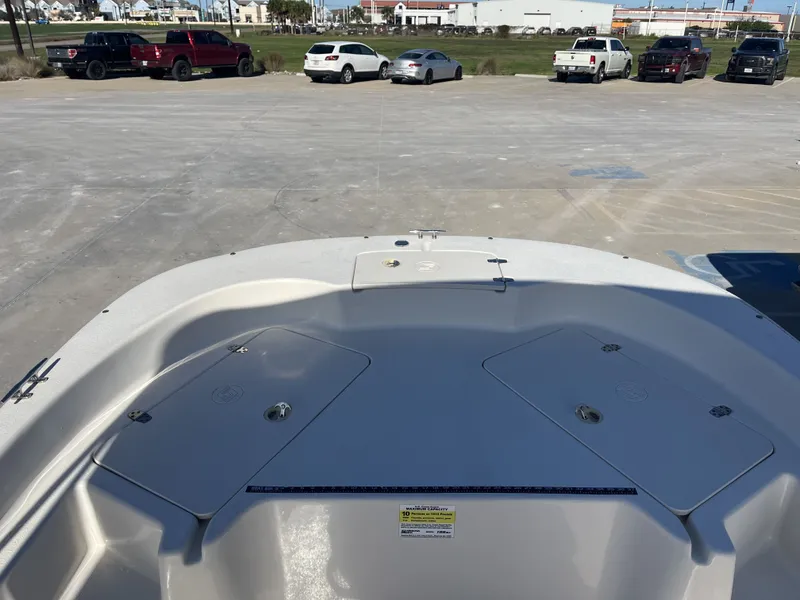 Slide: The Image of Carolina 198 DLV 2018 - 12