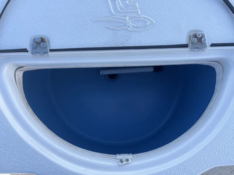 Slide: The Image of Carolina 198 DLV 2018 - 23