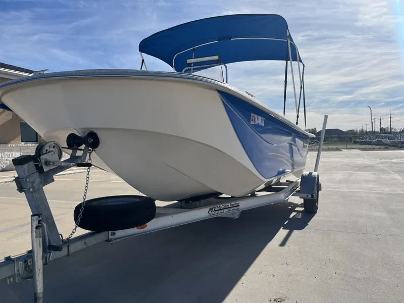 Slide: The Image of Carolina 198 DLV 2018 - 3