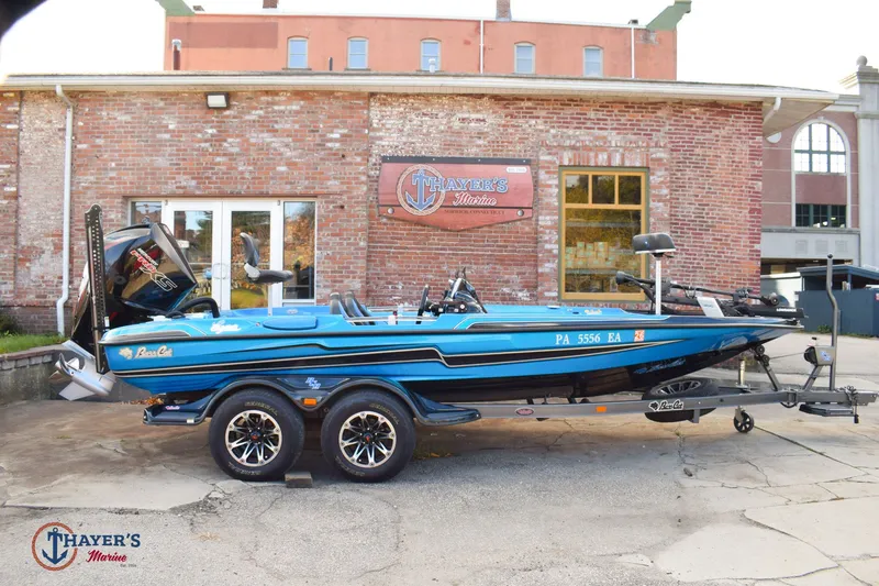 The Image of Bass Cat Eyra 2021 - 0