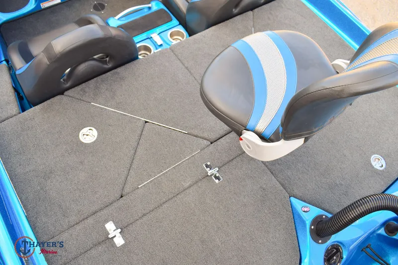 Slide: The Image of Bass Cat Eyra 2021 - 10