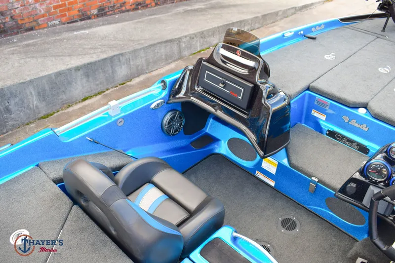 Slide: The Image of Bass Cat Eyra 2021 - 12