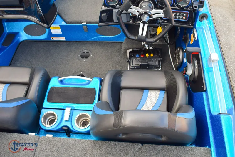 Slide: The Image of Bass Cat Eyra 2021 - 13