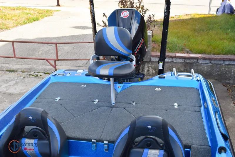 Slide: The Image of Bass Cat Eyra 2021 - 19